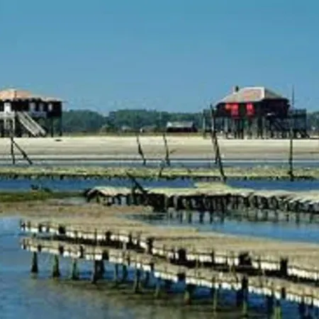 En Centre-ville D'arcachon Avec Balcon, Parking Prive Et Wi-fi, A 300m De La - Fr-1-374-28 아파트